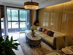 2020年张渚镇的gdp_宜兴张渚镇控规图