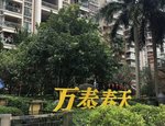 【万泰春天东区二手房房价走势_汕头龙湖龙湖万泰春天东区二手房最新