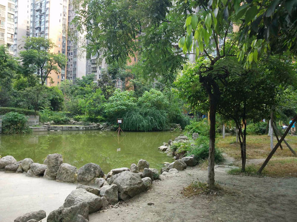 府河星城馨苑,西华大道608号-成都府河星城馨苑二手房,租房-成都安居