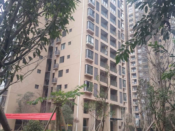 重庆小区 彭水小区 彭水城区小区 依云水岸 实景图 1 15&