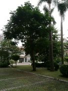 金美花园常平袁山贝金美路