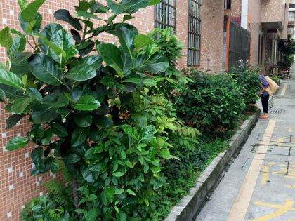 长湴村人口_广州市白云区长湴村