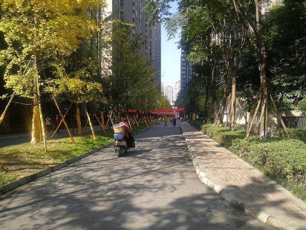 绿地国际花都三期,创智南一路39号-成都绿地国际花都