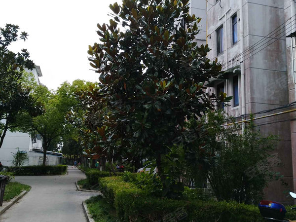 海滨新二村,海滨新二村1-74号-上海海滨新二村二手房,租房-上海安居客