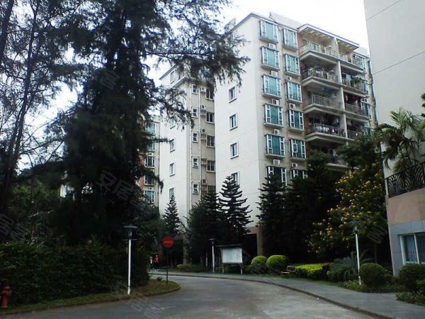 阳光花园,容桂租房,天之龙地产 阳光花园 3房出