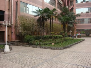 劳动村小区(北碚区),老城区租房,紧靠重百二店