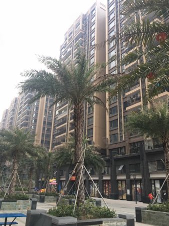 长信银湾全新毛坯南向望花园总价低方便看房