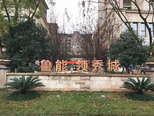 鲁能领秀城二街区