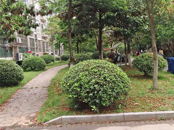 武夷绿洲观竹苑