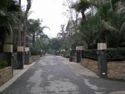 水映长岛 临东坡体育,清水河两大公园,青羊租房-成都58安居客