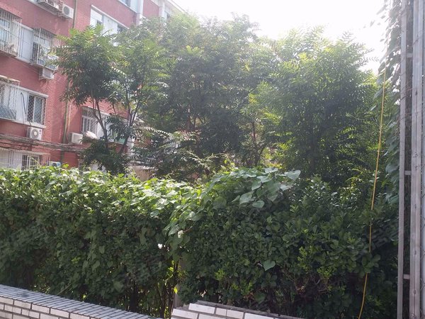 新开路住宅小区户型图实景图片