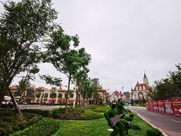 重庆小区 江津小区 双福新区小区 恒大健康城(一期)实景图 1 9#xe