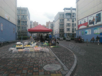 长葛古桥苑店有多少人口_赛文打金古桥是多少集
