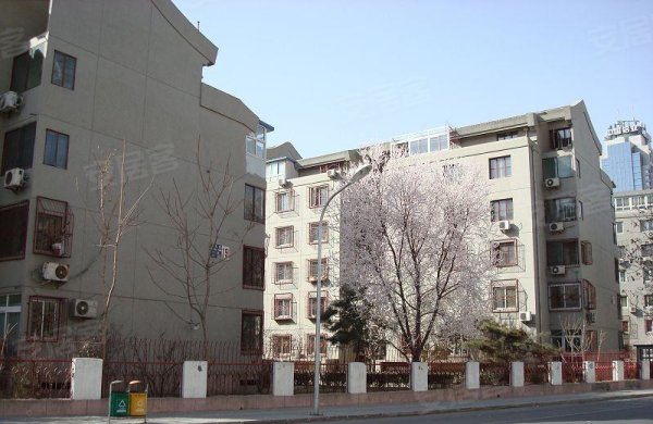 交一万给钥匙马上入住精装小户型, 金地翠园二