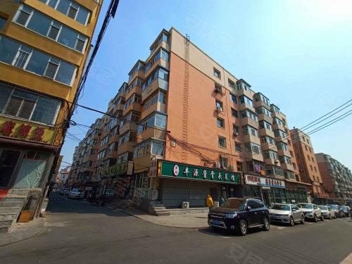 长春小区 朝阳小区 朝阳桥,重庆路万达,红旗小区 富锦路102号楼实景图