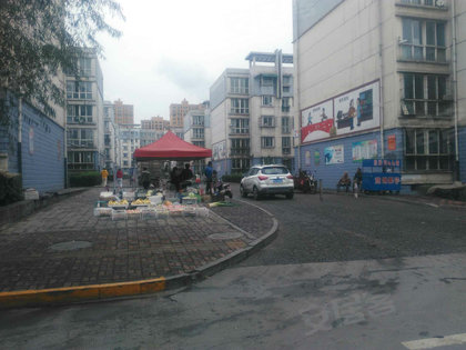 长葛古桥苑店有多少人口_赛文打金古桥是多少集