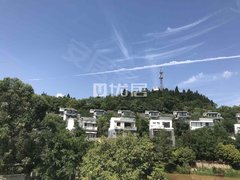 纯别墅区,可建泳池,带450平大花园 安选     