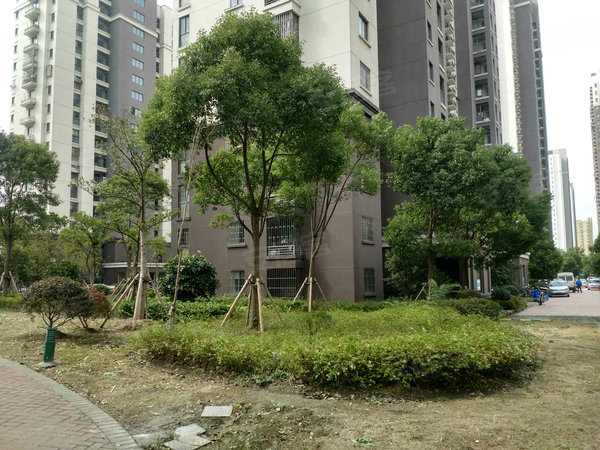 上海晶城晶采坊