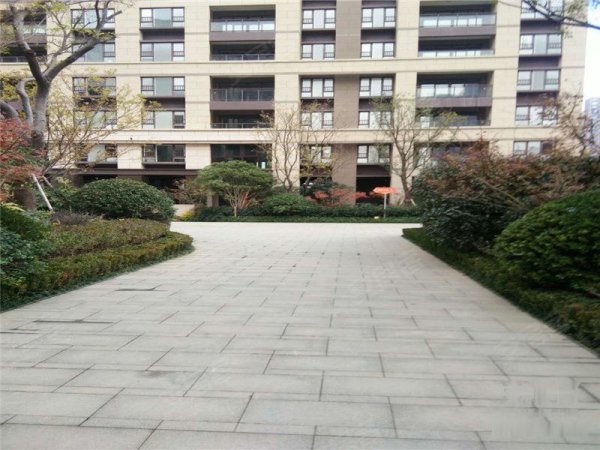 铂悦府 豪装升级 全明户型 房型正气 采光好 楼层适中