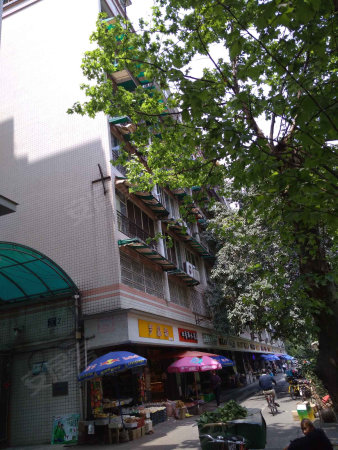 仅剩6套 大开间欧式精装套二 享法式园林小区 双地铁双公园
