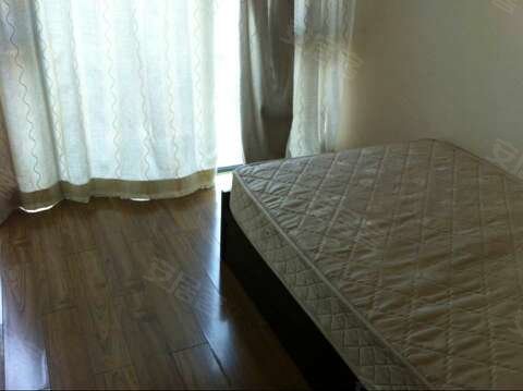 劲力<em>城市</em>明珠,龙华租房,想租房的<em>兄弟姐妹</em>们快