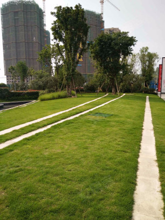 360万方小学轨道站商圈民乐旁带巴蜀中央和八哈尔滨市公园小学图片