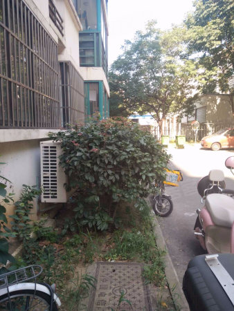 《美诚房产》军干阳光公寓,临近徽州大道,罍街商圈,性价比高