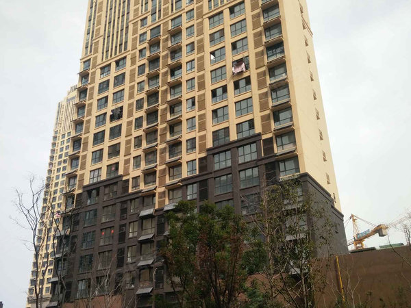 合肥小区 瑶海小区 瑶海万达广场小区 万达华府 实景图 1/ 30 