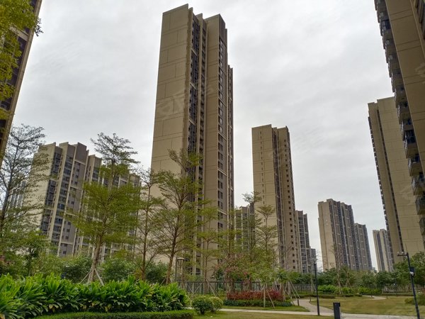 时代倾城双生花,新环路71号-珠海时代倾城双生花二手房,租房-珠海安居
