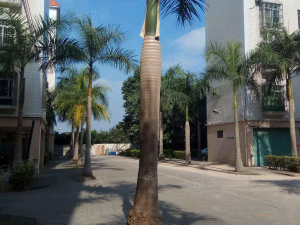 春晖苑 柏塘-解放南路-博罗大道