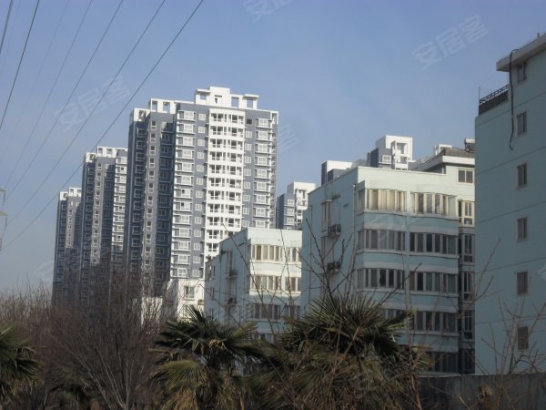 在卖的精装修大3房看房随时,送全部家具家电