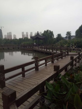 学区房168中学旁,陶冲湖城市广场,四室两厅毛坯房,南北通透