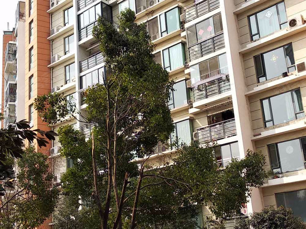 合肥小区 瑶海小区 大东门小区 置地栢景轩 实景图