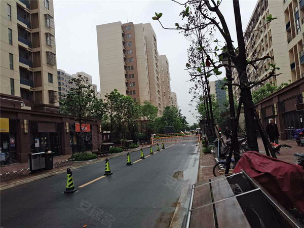 紫杨佳园,沪蓉高速-南京紫杨佳园二手房,租房-南京