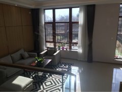 沈阳市浑南新区2020年gdp_沈阳市浑南新区规划图