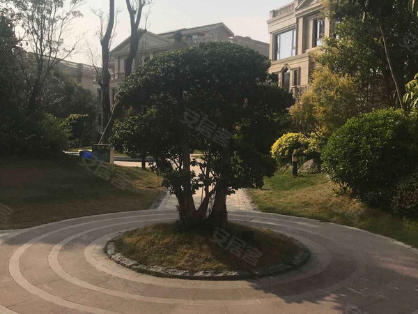 宝龙御湖官邸(公寓)户型图实景图片