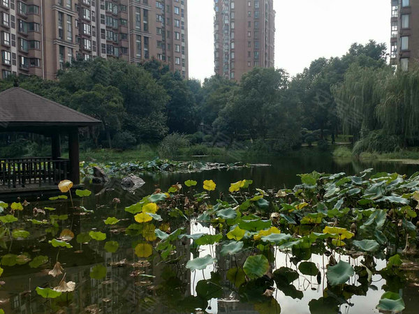 春申景城湖畔林语