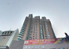 鹰城世贸老总_圣名世贸城游乐园