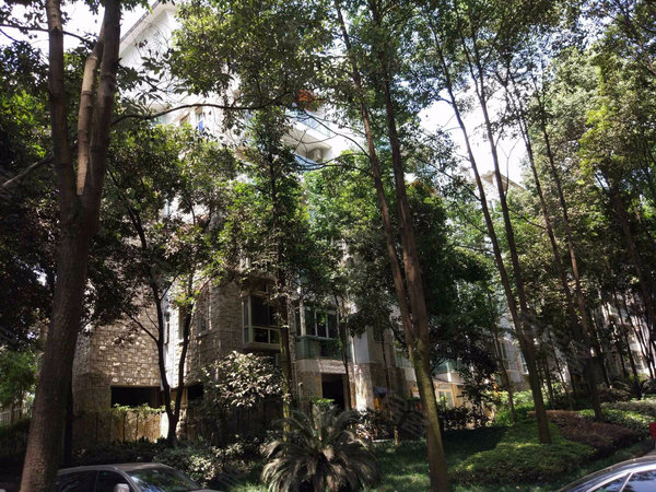 水木青华,湖滨西路19号-重庆水木青华二手房,租房-重庆安居客