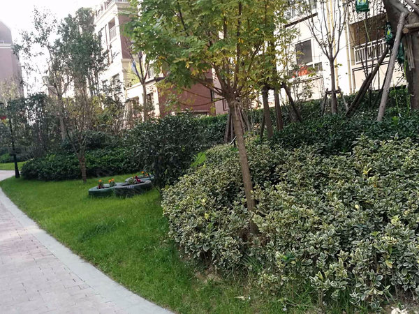 保利海上五月花百合园,桂香路14号-郑州保利海上五月花百合园二手房