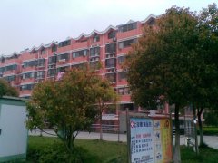 240x180.jpg?t=1