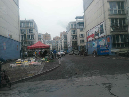 长葛古桥苑店有多少人口_赛文打金古桥是多少集