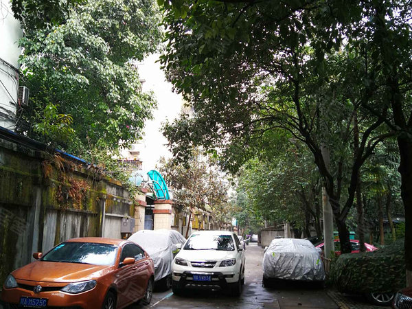 成都小区 金牛小区 抚琴小区小区 抚琴西苑北区