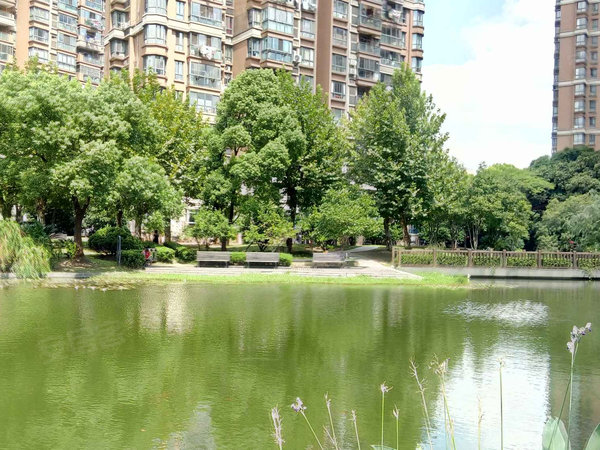 春申景城湖滨晨韵