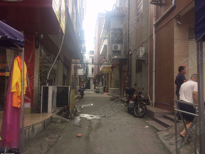 南沙旧镇人口_南沙旧镇图片