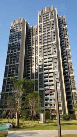 南海二手房 佛山金沙洲二手房 政业地产 政业地产江滨店 梁福轩的店铺