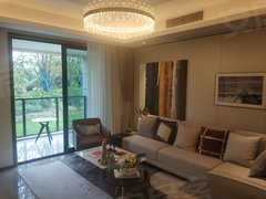 2020年张渚镇的gdp_宜兴张渚镇控规图