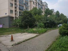240x180.jpg?t=1