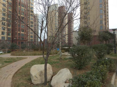 瑞麟君府老总_临潼瑞麟君府实景(3)