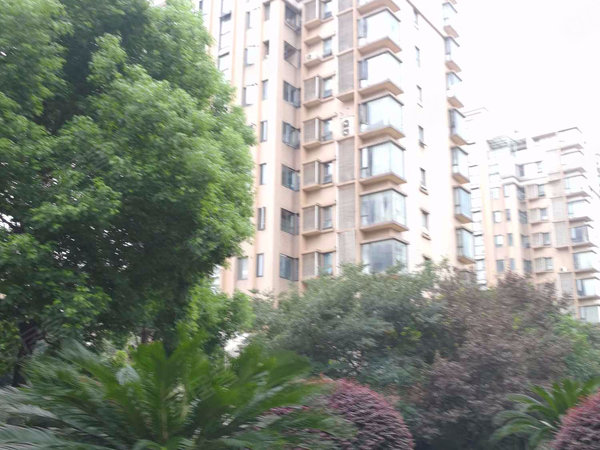 拉德芳斯梧桐花园南苑